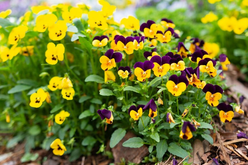 Eric Krouse/shutterstock.com