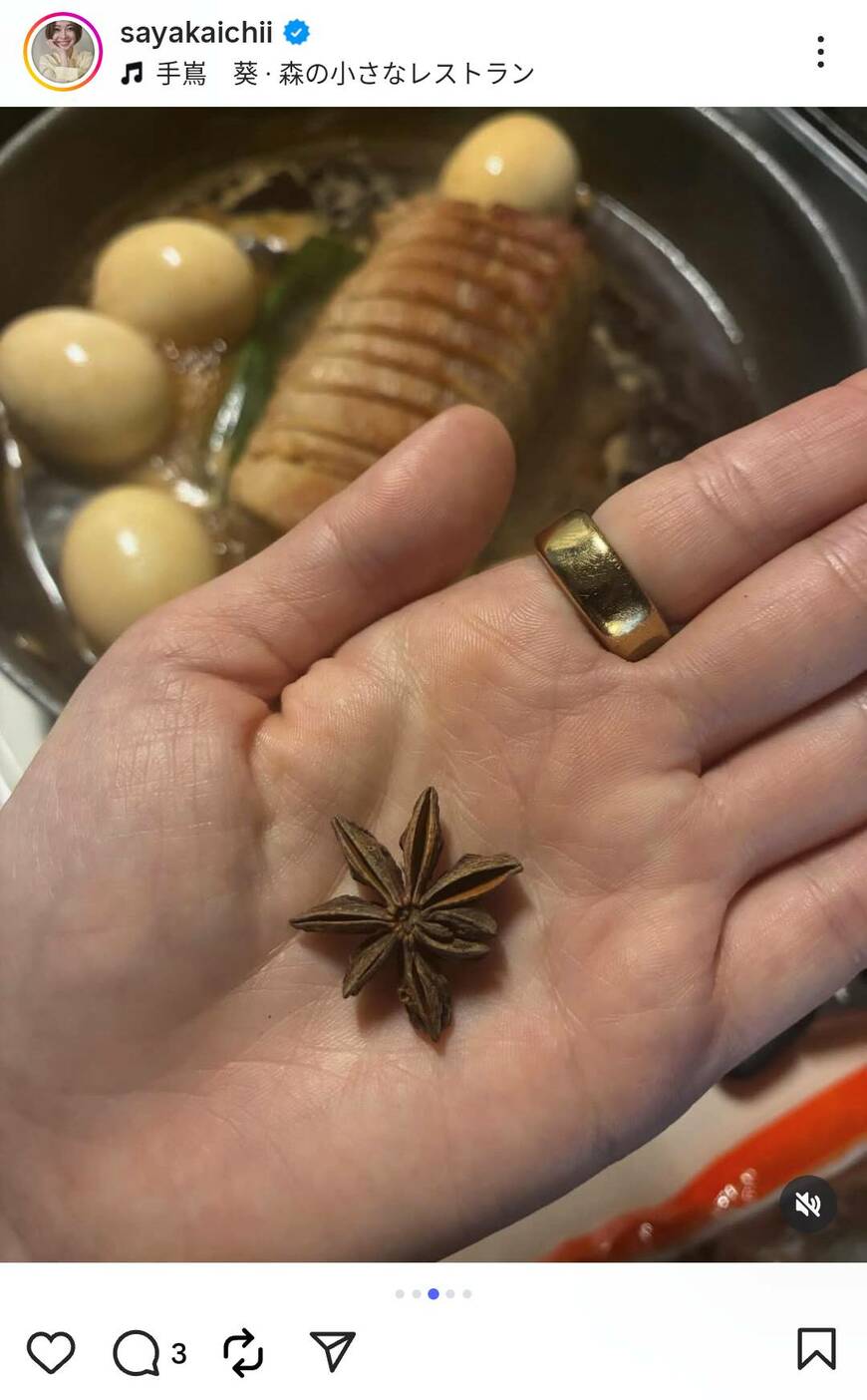 出所：市井紗耶香のInstagram（＠sayakaichii）参照日：2026年4月22日
