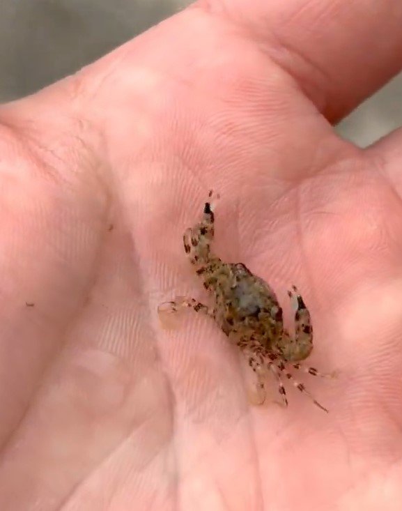 出所：@K_theHermit