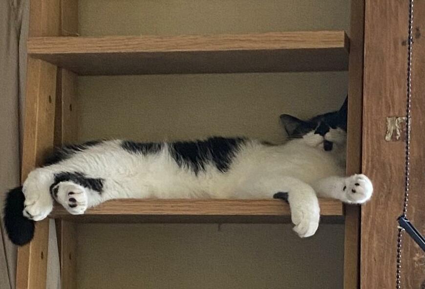 出所：@00shitemita