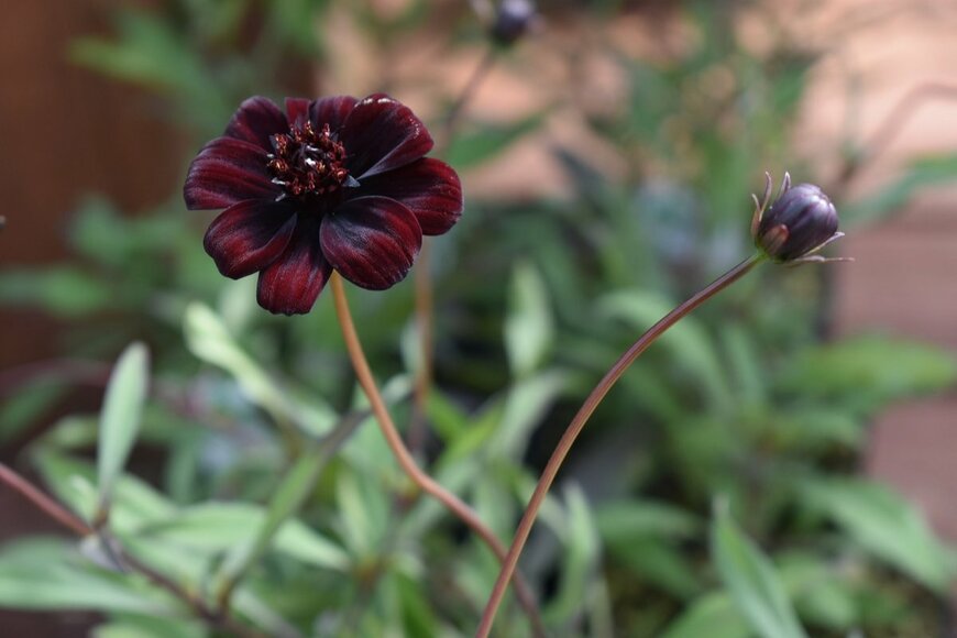 Terra Gardens/shutterstock.com