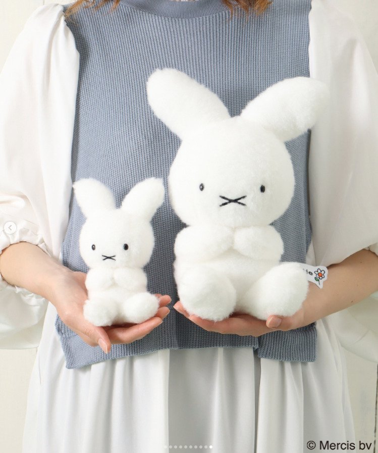 出所：ブルーブルーエ公式Instagram