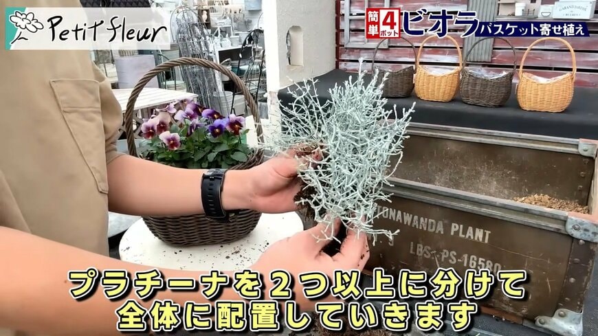 出所：@petit_fleur