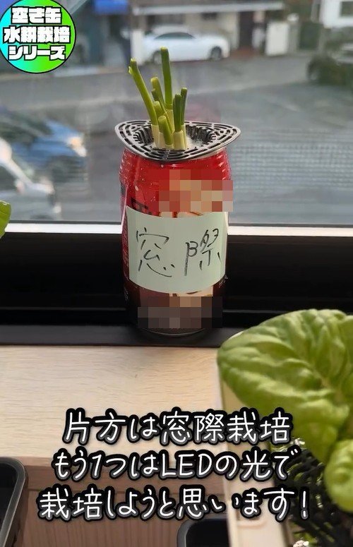 出所：mikanbo_ya19_87