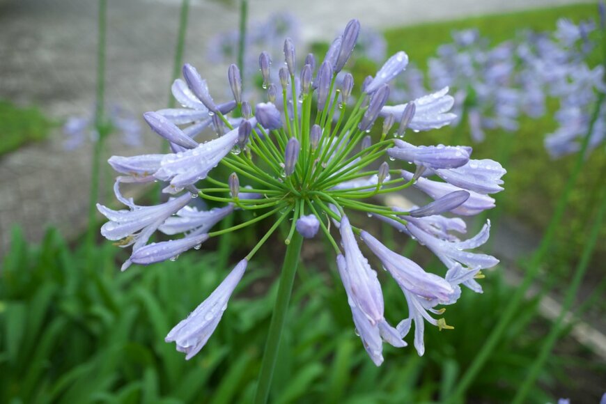 Khun Ta/shutterstock.com