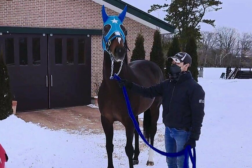 【競馬】繋養先で撮影されたオジュウチョウサンがSNSで話題　気になる現在の状態は…