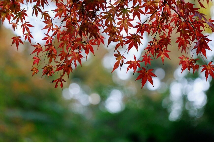 Koichi Yoshii/istockphoto.com