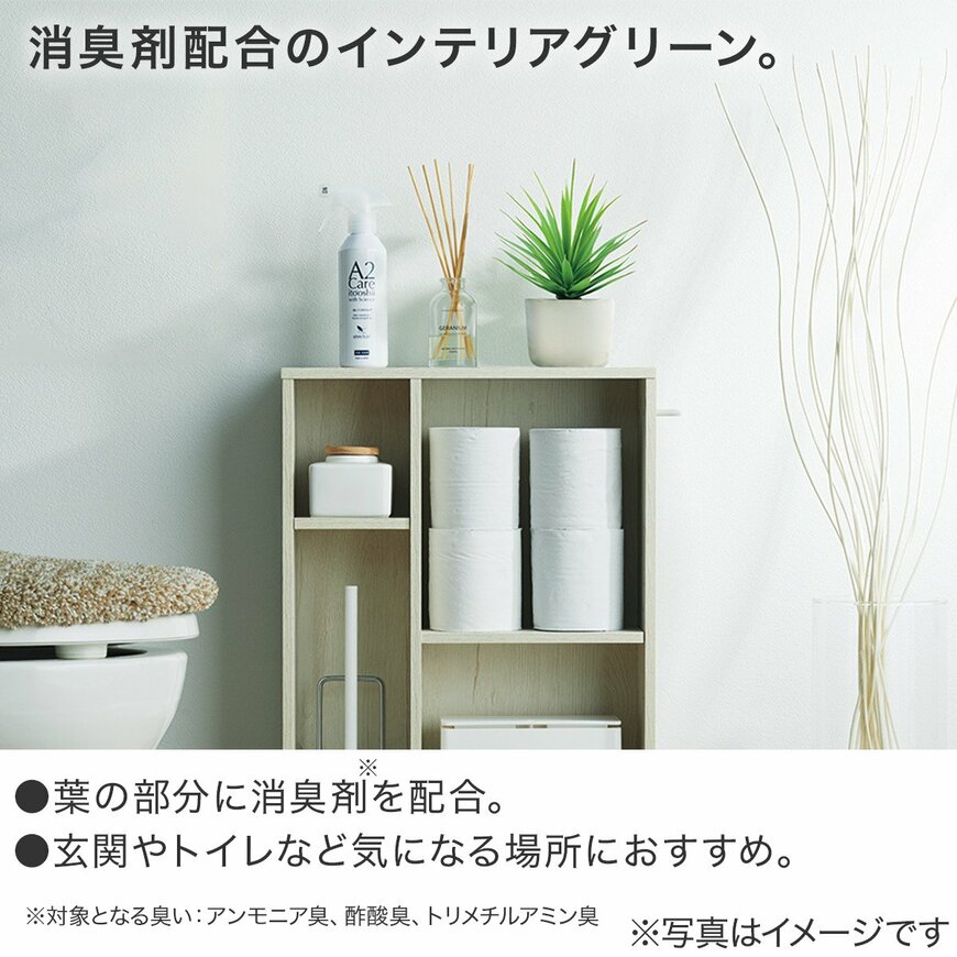 出所：株式会社ニトリホールディングス　消臭剤配合グリーン ソードグラス（HA01）