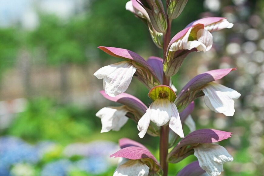 igaguri_1/istockphoto.com