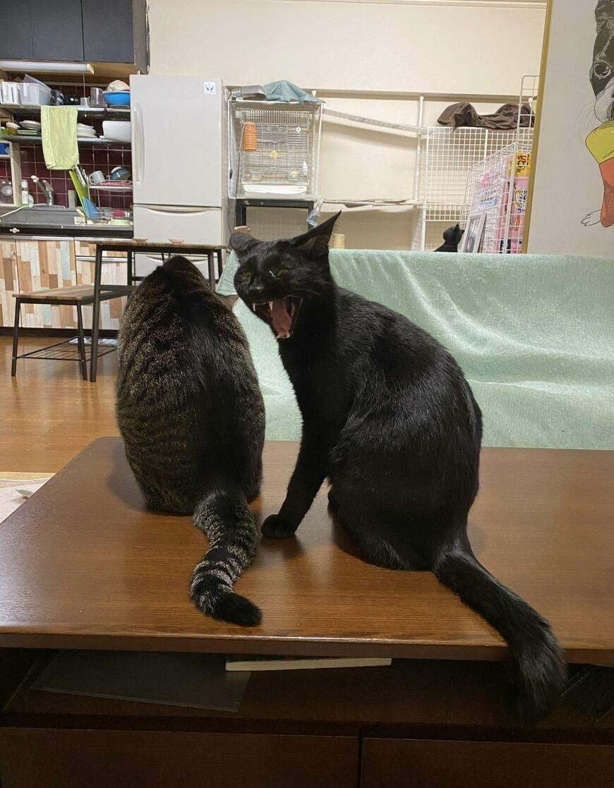 出所：@00shitemita