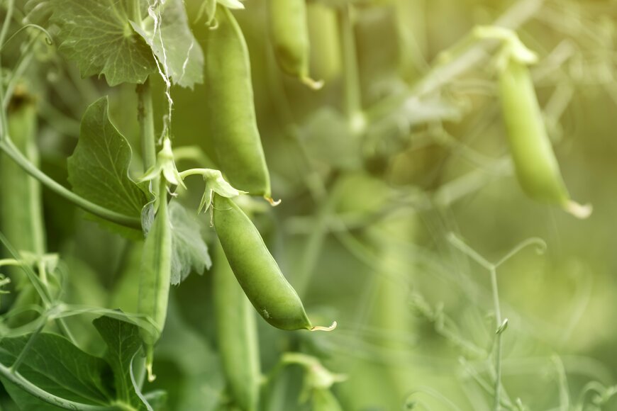 Bits And Splits/shutterstock.com