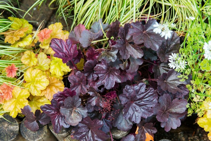 itasun/istockphoto.com