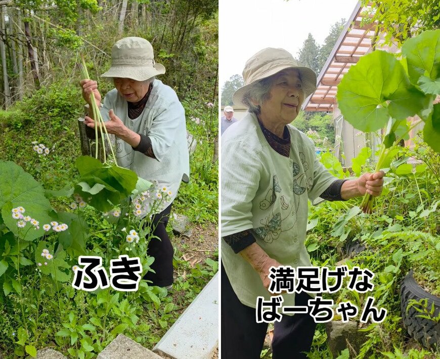 80代のおばあちゃん