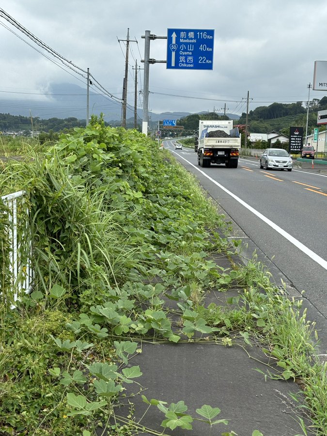 歩道の状況に驚き