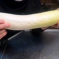 寒い日はやっぱりコレが一番！【父ちゃんが作るおでん弁当】は鮭の塩焼きや卵焼きのおかずもある定食スタイルが「最高」と話題に