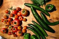 自分が食べる野菜は自分で作る。今、家庭菜園が流行るワケ