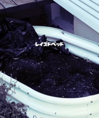 「100均アイテム」＆「寒さに強い花たち」で…〈元菜園のレイズドベッド〉→キラキラ《クリスマス花壇》に大変身！