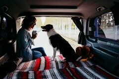 【車中泊・キャンプ】夏休みシーズンに振り返る「車中泊」の動向
