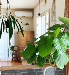 「私も落ち着ける場所がほしい」築20年建売住宅〈和室〉→圧迫感のない室内窓で〈落ち着く空間〉に雰囲気ガラリ！