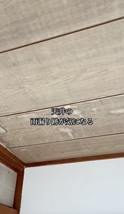 変身前の天井