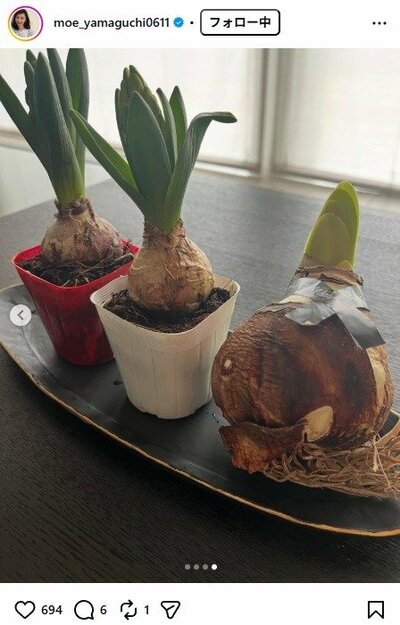 山口もえのInstagram投稿