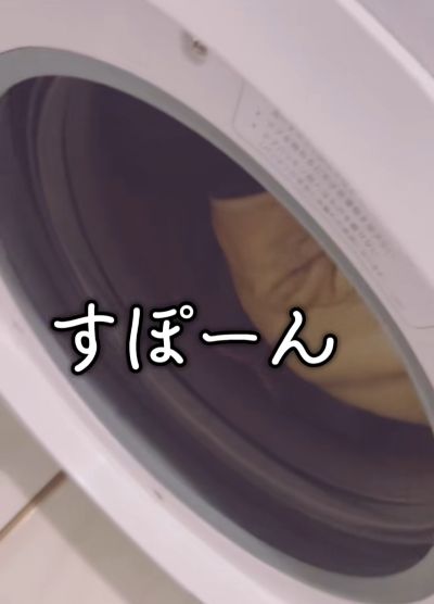 投稿の画像