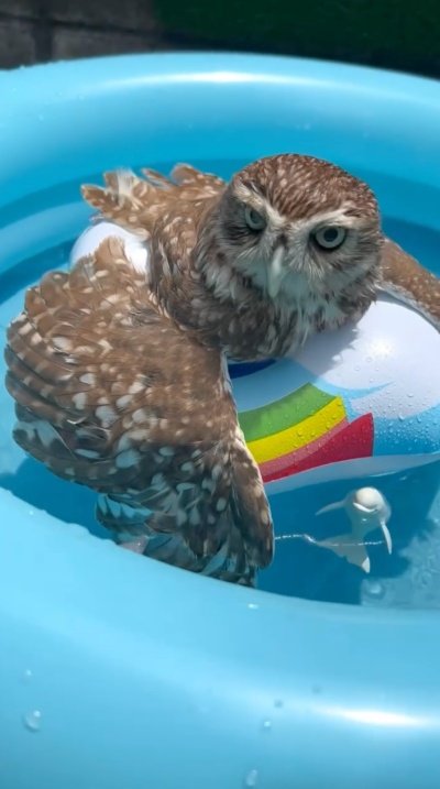 投稿動画のワンシーン