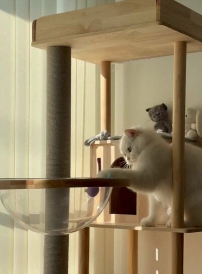 もう少しで取れそう…！