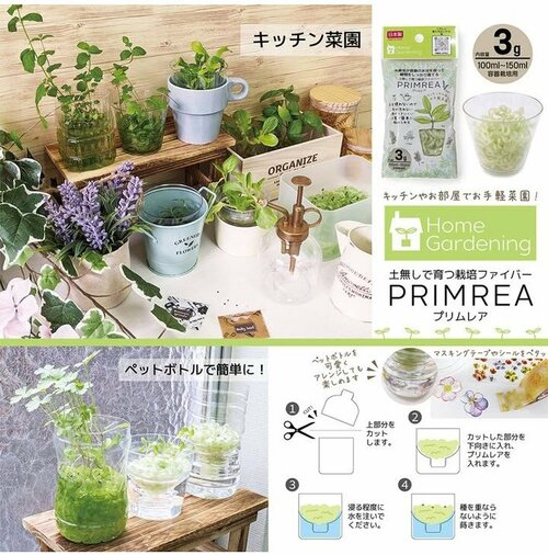 土無しで育つ栽培ファイバープリムレア