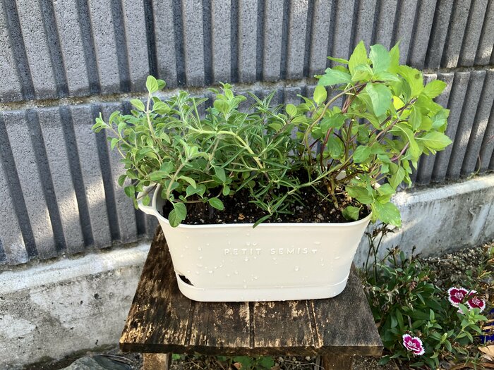 庭に置く場合は花台などを使って高さを出してあげると、より目立つアイテムに