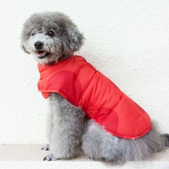 出所：ニトリ公式　ペット用キルティングポンチョ マル