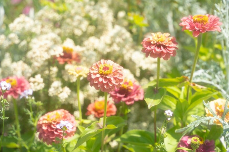 Nyon/istockphoto.com