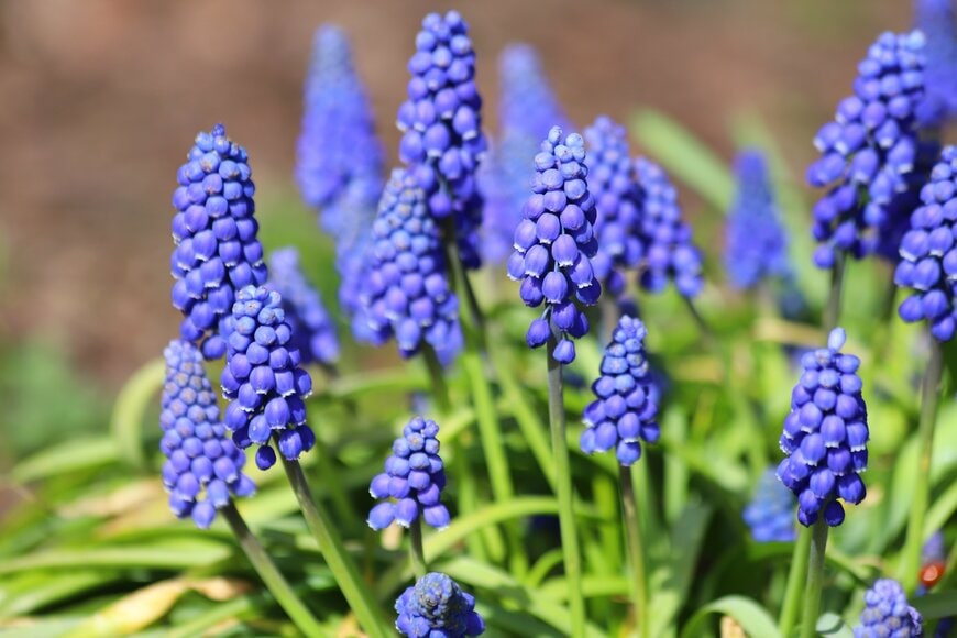 Kabar/shutterstock.com