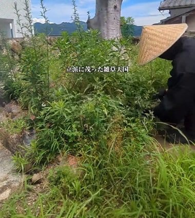 【草刈り】雑草が生い茂った〈庭〉→職人技で土の美しさが際立つ〈スッキリ空間〉に！「見ていて気持ちがいい」と反響