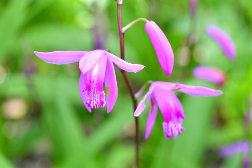 SRT101/shutterstock.com