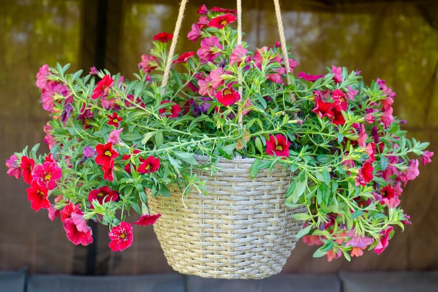 ArtCookStudio/istockphoto.com