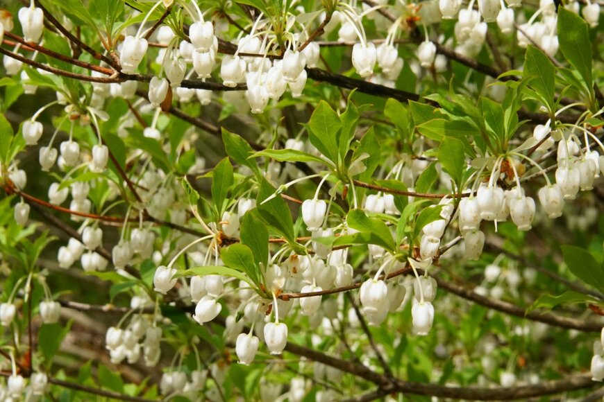 Pastel 4 Tenshi/shutterstock.com