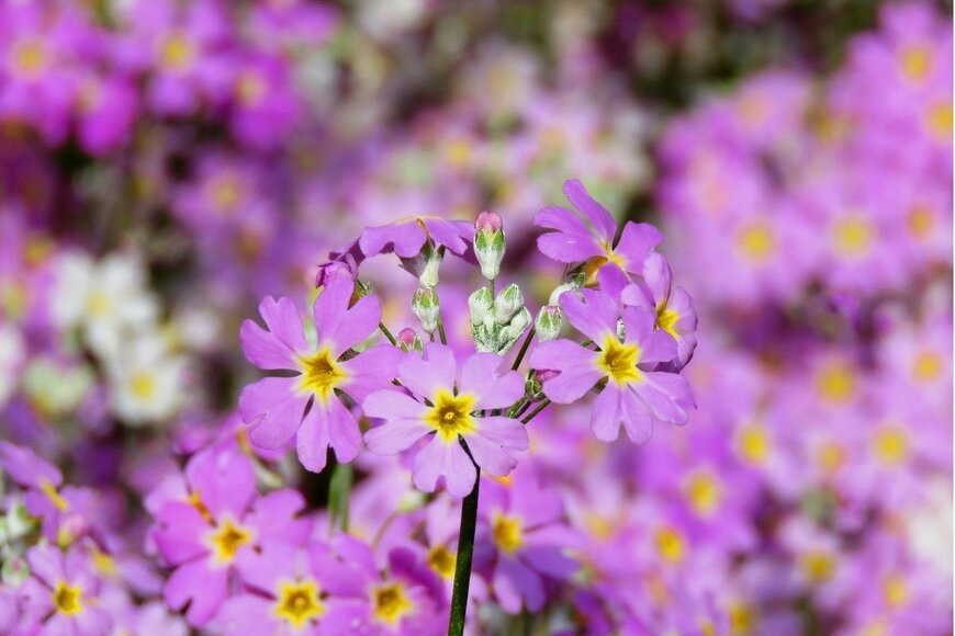 Derikjohn/istockphoto.com