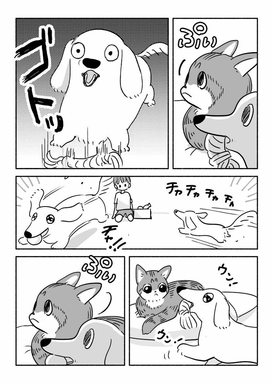 出所：@inunonekochan