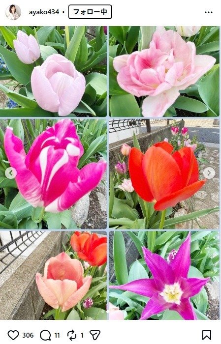 出所：小林綾子のInstagram（＠ayako434）　参照日：2026年4月13日