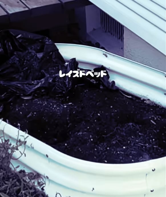 「100均アイテム」＆「寒さに強い花たち」で…〈元菜園のレイズドベッド〉→キラキラ《クリスマス花壇》に大変身！