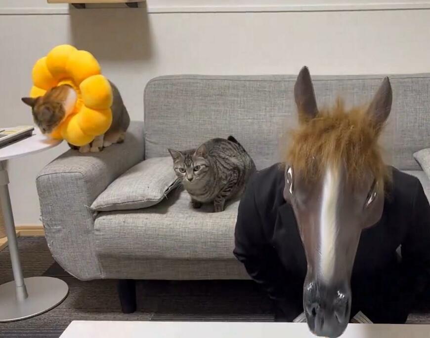 出所：@totomaru_hanmi