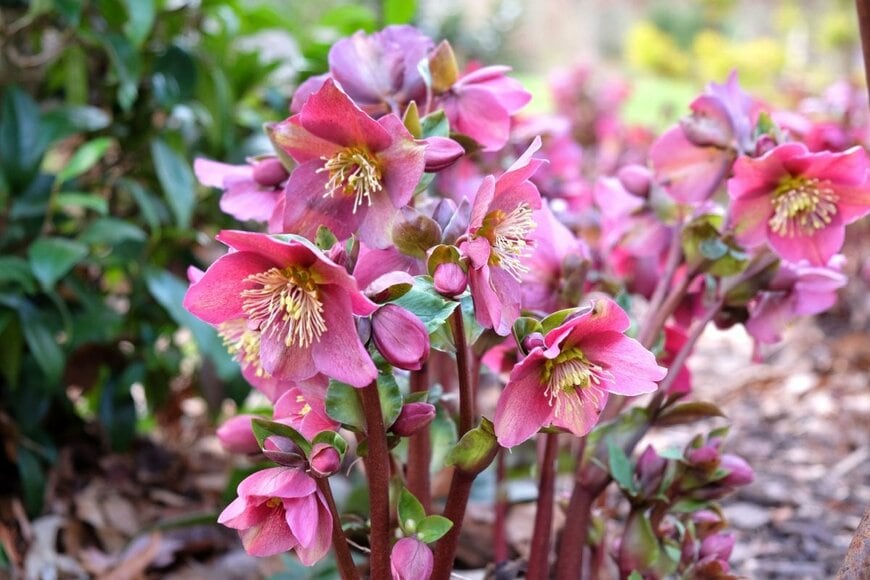 Alex Manders/shutterstock.com