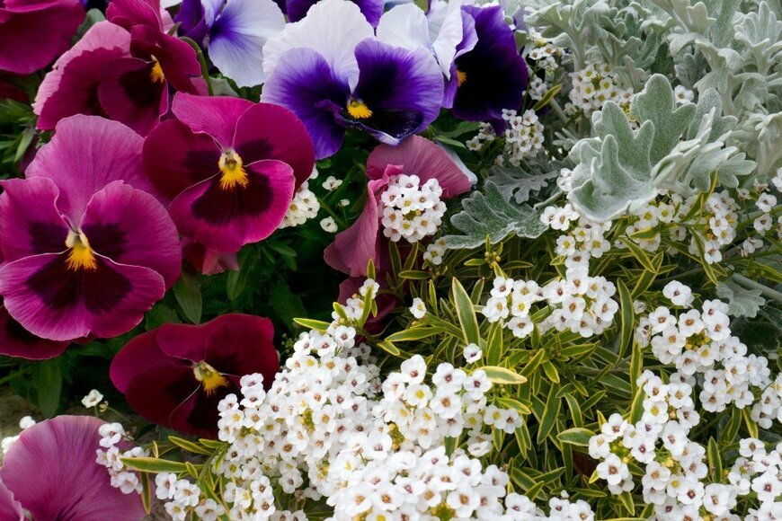 Orthosie/istockphoto.com