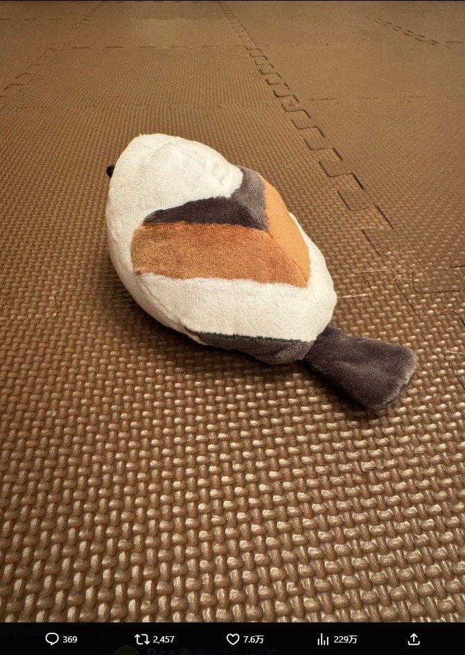 出所：北川景子のX（＠KKeiko_official）　参照日：2026年3月9日