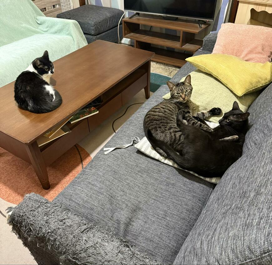 出所：@00shitemita