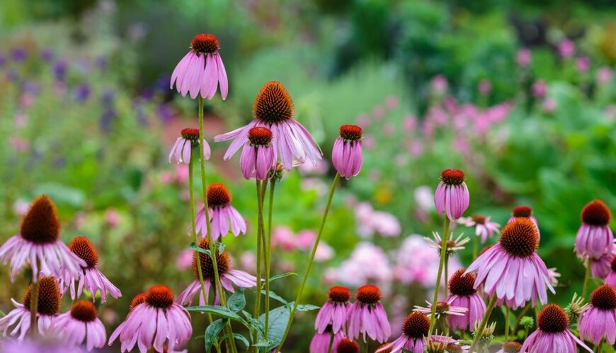 Flower_Garden/shutterstock.com