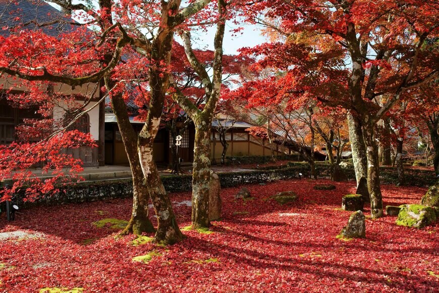 LesserCuckoo/shutterstock.com