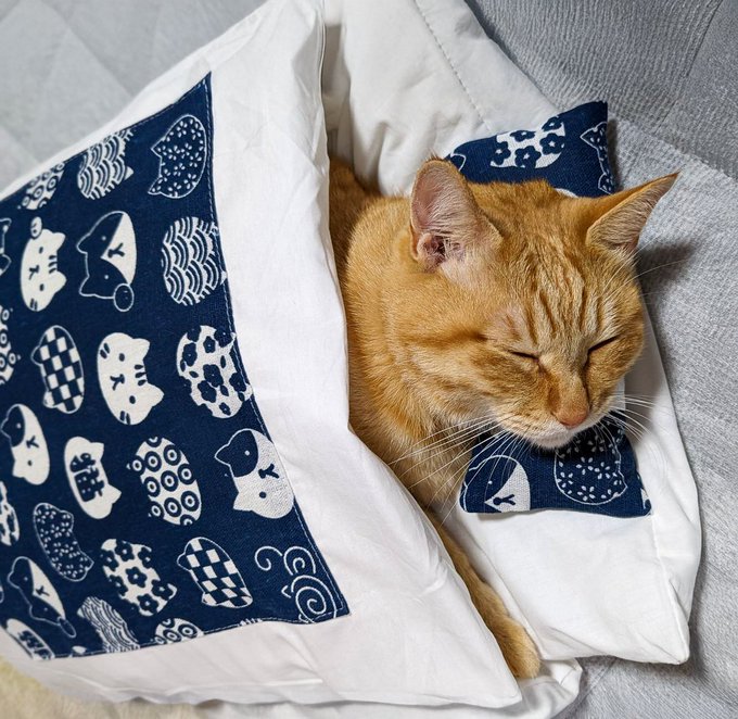 出所：＠purinlala