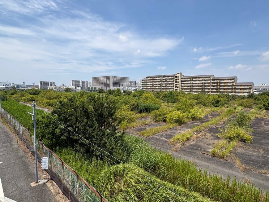広々とした土地に緑が広がる